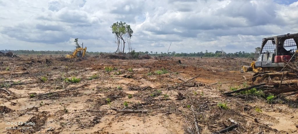 Heavy equipment carrying out land preparation for plantation establishment.
